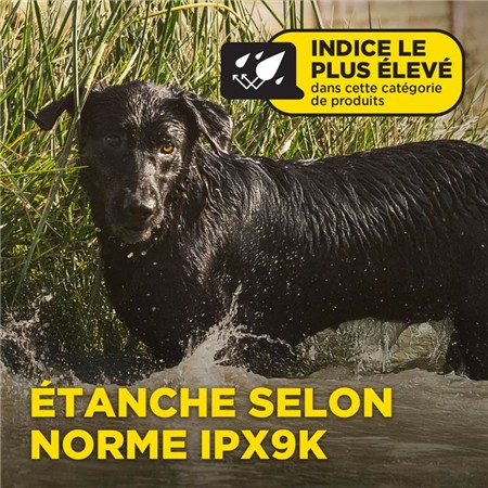 COLLARE SUPPLEMENTARE DOGTRA RICEVITORE BLU