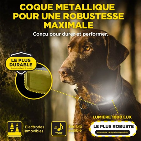 COLLARE SUPPLEMENTARE DOGTRA RICEVITORE BLU