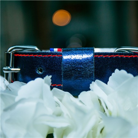 COLLIER CHIEN CUIR MARTIN SELLIER DAKOTA - BLEU
