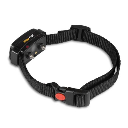 COLLIER DE DRESSAGE DOG TRACE EDGE ONE 250