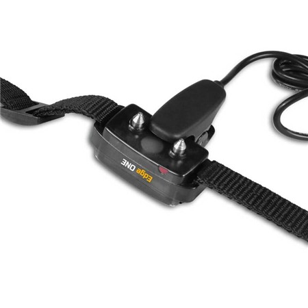 COLLIER DE DRESSAGE DOG TRACE EDGE ONE 250