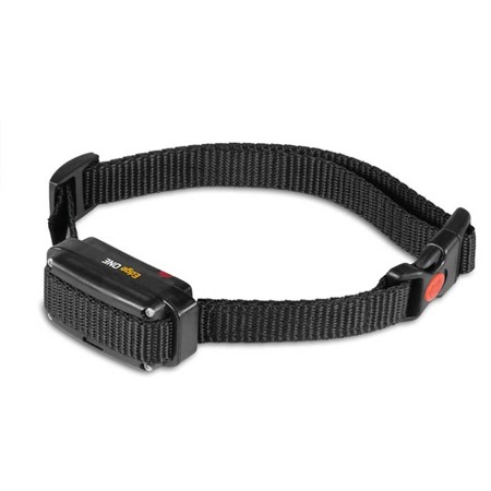 COLLIER DE DRESSAGE DOG TRACE EDGE ONE 250