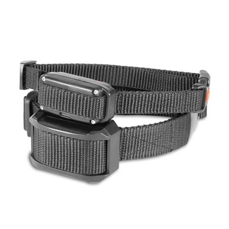 COLLIER DE DRESSAGE DOG TRACE EDGE ONE 450