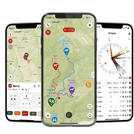 COLLIER DE DRESSAGE DOG TRACE GPS X30