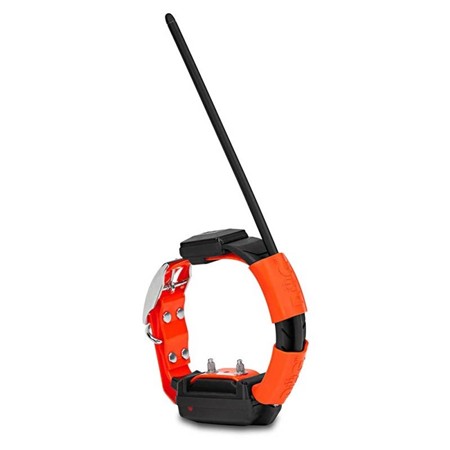 COLLIER DE DRESSAGE DOG TRACE SHORT GPS X30-T