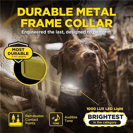 COLLIER DE DRESSAGE DOGTRA 1200X CAMO KIT 1 CHIEN