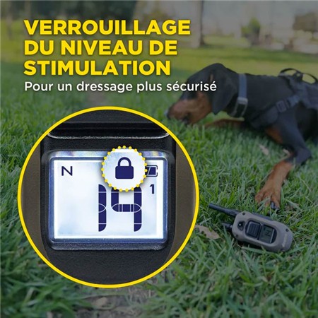 COLLIER DE DRESSAGE DOGTRA 1200X KIT 2 CHIENS