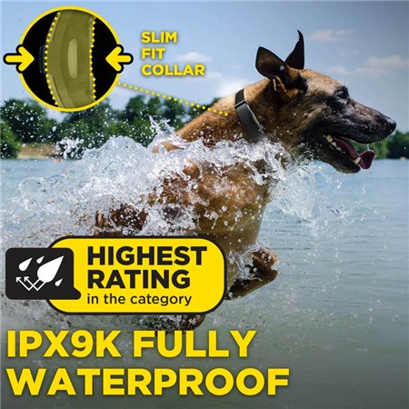 COLLIER DE DRESSAGE DOGTRA ARC-X KIT 2 CHIENS