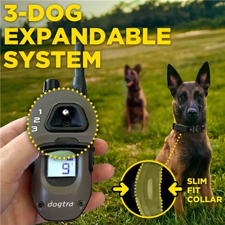 COLLIER DE DRESSAGE DOGTRA ARC-X KIT 2 CHIENS