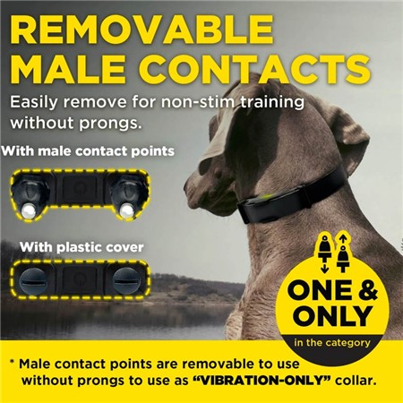 COLLIER DE DRESSAGE DOGTRA ARC-X KIT 2 CHIENS