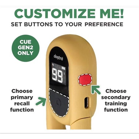 COLLIER DE DRESSAGE DOGTRA IQ FLEX