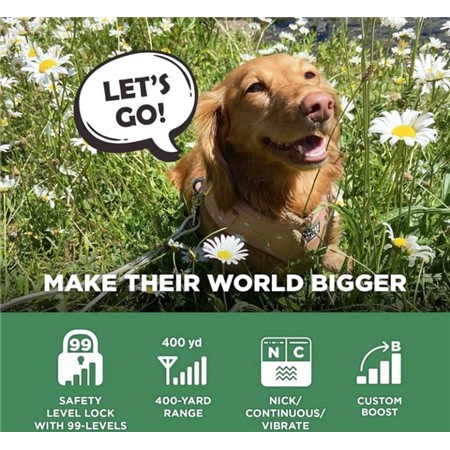 COLLIER DE DRESSAGE DOGTRA IQ FLEX