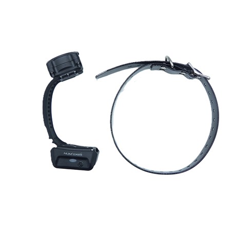 Collier De Dressage Numaxes Canicom Voice 800 - Pfdreson007