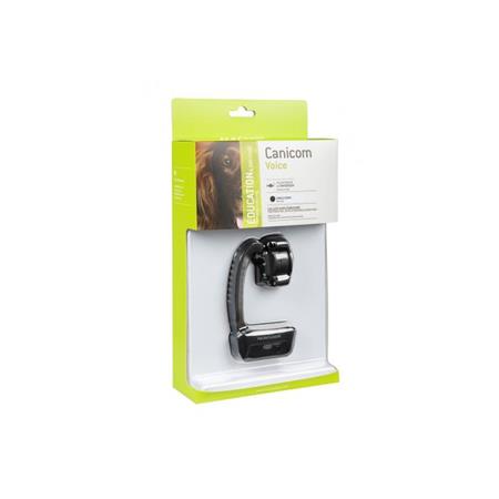 COLLIER DE DRESSAGE SEUL CANICOM VOICE - NUMAXES NUMAXES CANICOM VOICE