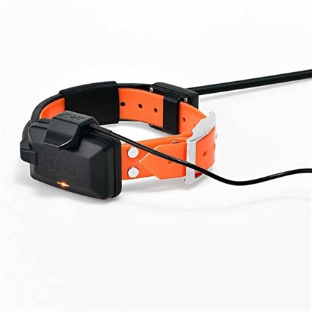 COLLIER DE REPÉRAGE DOG TRACE GPS X25-B
