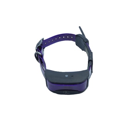 Collier De Reperage Supplementaire Sportdog Tek1.5/Tek 2.0 - Cy2431