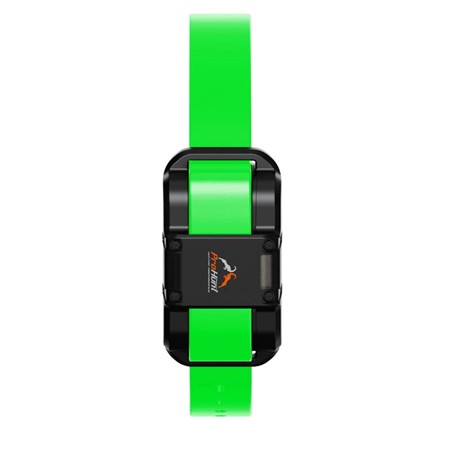 Collier Dressage Supplémentaire Prohunt 1500M - Vert