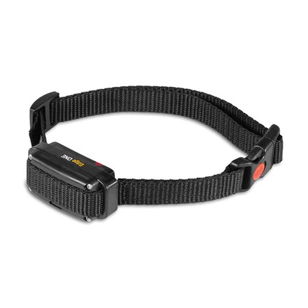 Collier Supplémentaire De Dressage Dog Trace Edge One