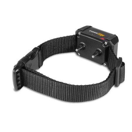COLLIER SUPPLÉMENTAIRE DE DRESSAGE DOG TRACE EDGE