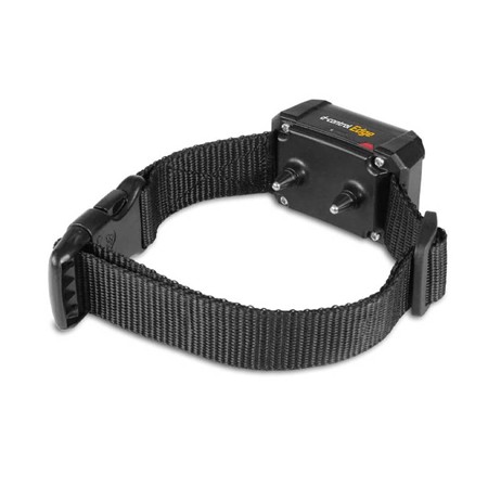 Collier Supplémentaire De Dressage Dog Trace Edge