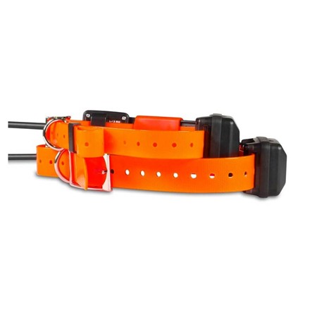 COLLIER SUPPLÉMENTAIRE DE DRESSAGE DOG TRACE GPS X20 SHORT
