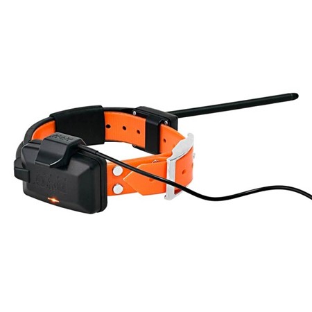 COLLIER SUPPLÉMENTAIRE DE REPÉRAGE DOG TRACE GPS X20 COLLIER + CHARGEUR