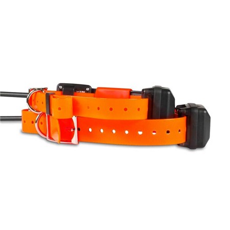 COLLIER SUPPLÉMENTAIRE DE REPÉRAGE DOG TRACE X25 SHORT
