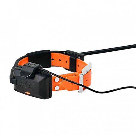 COLLIER SUPPLÉMENTAIRE DE REPÉRAGE DOG TRACE X30