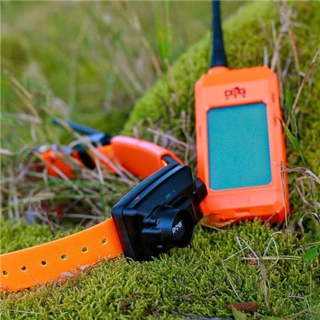 COLLIER SUPPLÉMENTAIRE DE REPÉRAGE DOG TRACE X30-T