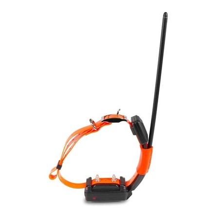 COLLIER SUPPLÉMENTAIRE DE REPÉRAGE DOG TRACE X30-T SHORT