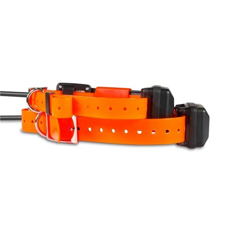 COLLIER SUPPLÉMENTAIRE DE REPÉRAGE ET DE DRESSAGE DOG TRACE X25-T SHORT