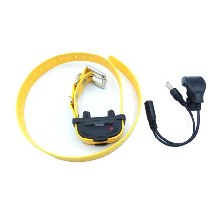 COLLIER SUPPLEMENTAIRE DOGTRA IQ MINI - 290304 OCCASION