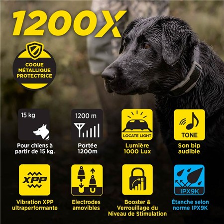 COLLIER SUPPLÉMENTAIRE DOGTRA RÉCEPTEUR BLEU