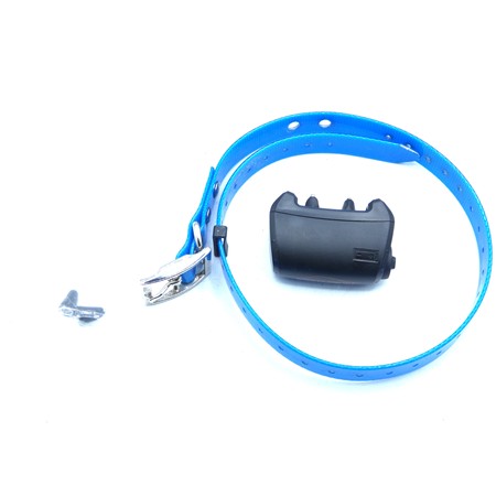 Collier Supplementaire Numaxes Pour Canicom 5 - Bleu