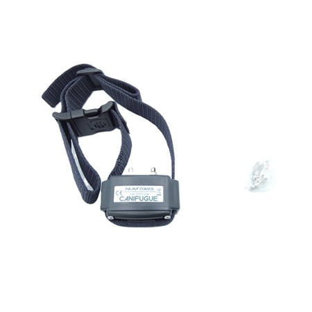 Collier Supplementaire Pour Cloture Anti-Fugue Numaxes Canifugue - Collier Supplémentaire Canifugue Et Canifugue Mix