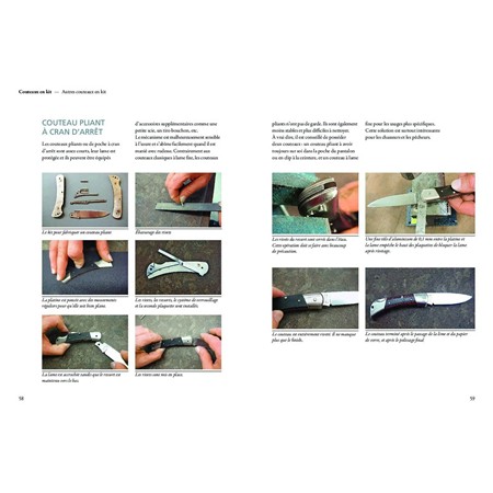 COME GIUDICARE UN CERVO