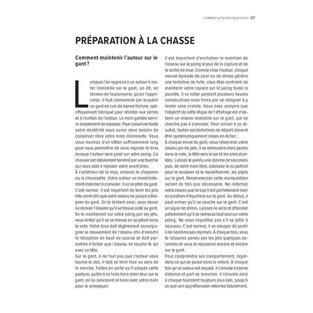 COME GIUDICARE UN CERVO