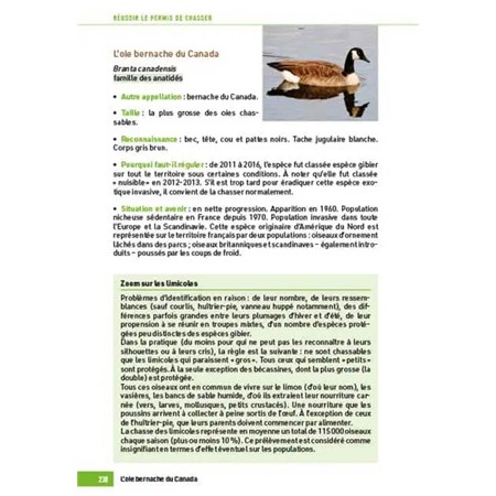 COME GIUDICARE UN CERVO