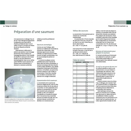 COME GIUDICARE UN CERVO