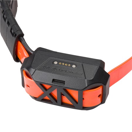 COMPLEET PAKKET AFSTANDSBEDIENING + HALSBAND NUMAXES CANICOM GPS MINI