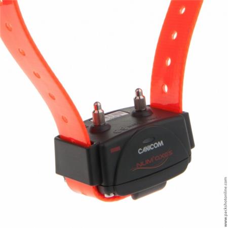 COMPLEET PAKKET NUMAXES CANICOM 1500 3 CHIENS