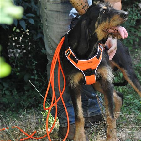 CORDINO CANIHUNT X-TREME