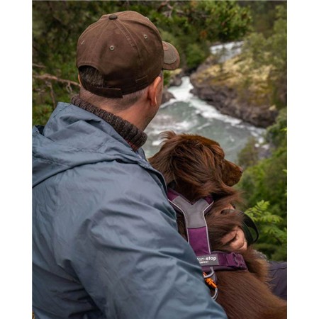 COUPE VENT HOMME PINEWOOD FINNVEDEN WINDBL - BLEU