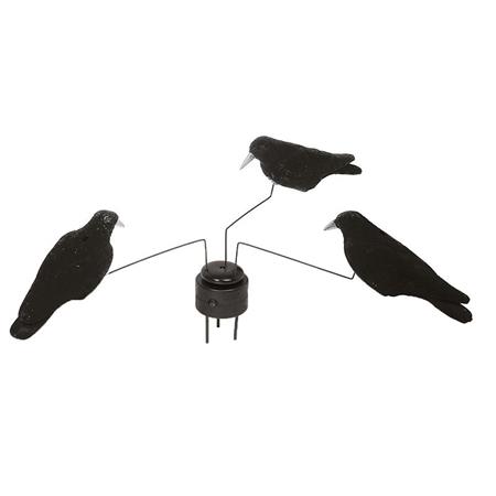 Crow Carousel Stepland
