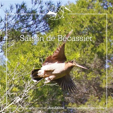 Cuaderno De Temporada Para Cazadores De Becadas Le Pairon Bécassier Seconde Édition