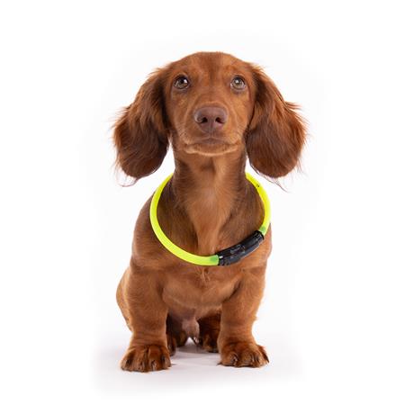 CUELLOLAR TUBO LUMINOSO NYLON USB