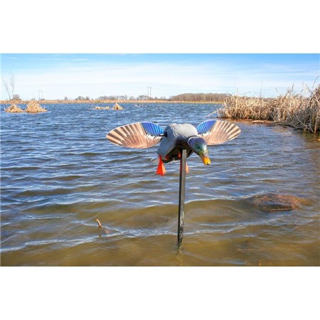 DECOY MOJO ELITE SERIES MINI - MALLARD