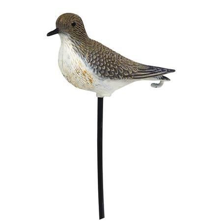 Decoy Stepland Plover
