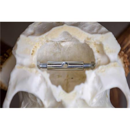 DEER TROPHY BRACKET EUROHUNT - PACK OF 2