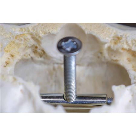 DEER TROPHY BRACKET EUROHUNT - PACK OF 2